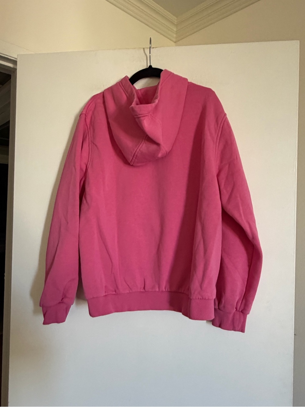 Nike A’ja Wilson A1 Kids Club Fleece Hoodie size Large EUC - Picture 4 of 7